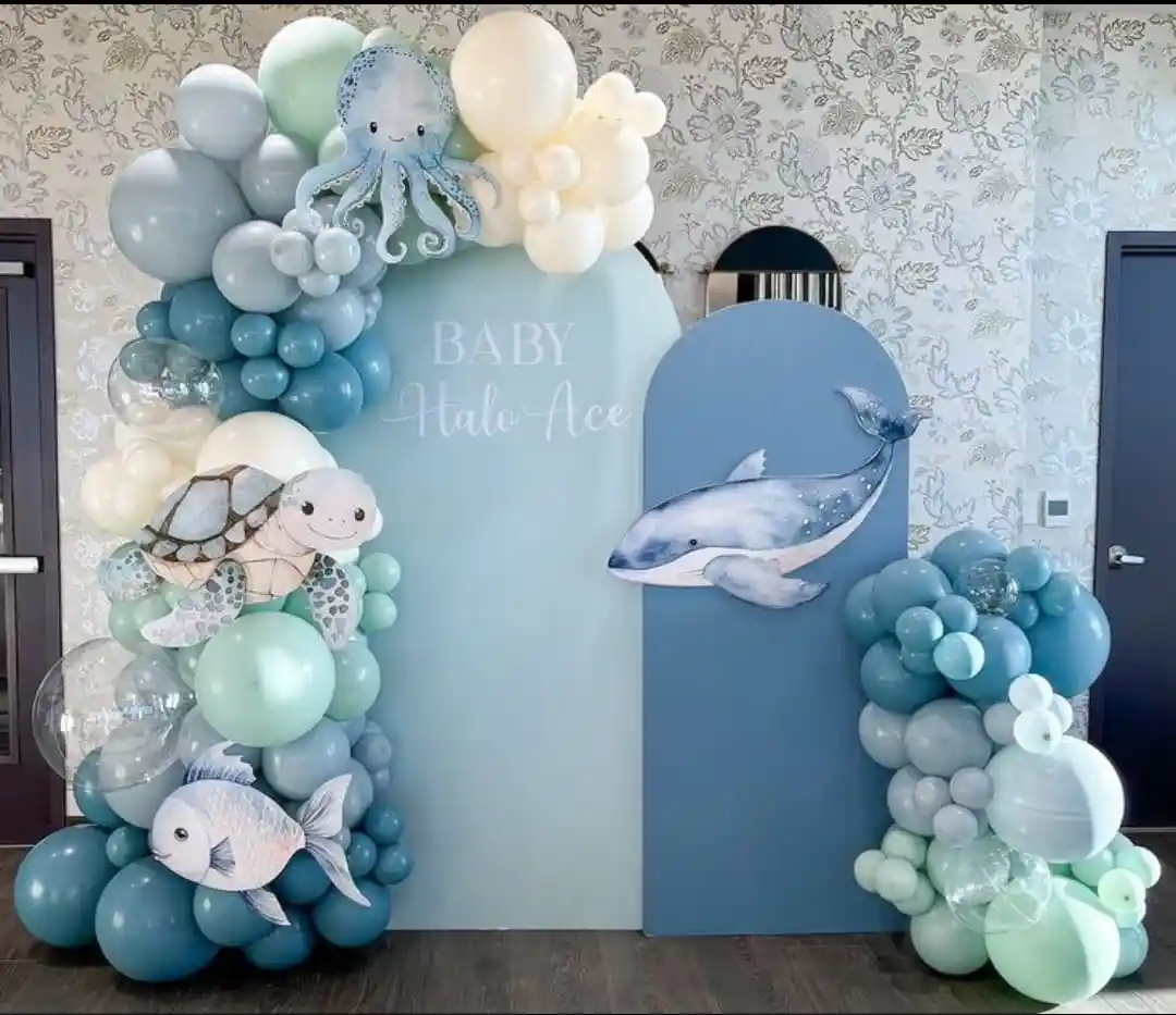 Little Ocean Baby Shark Dream Sweet and dreamy